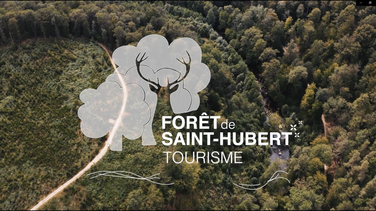 La Forêt de Saint-Hubert