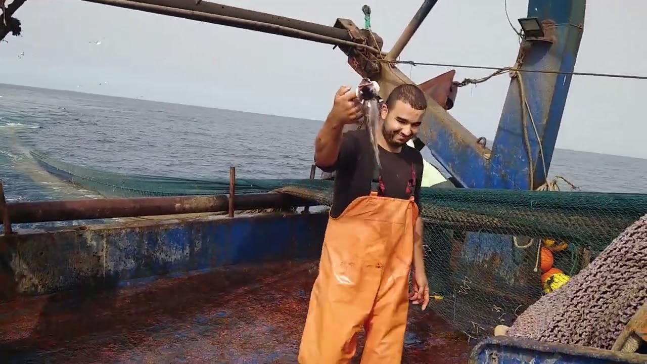 Une journée de pêche par bateau, départ de la ville de Cherchell avec une magnifique équipe.