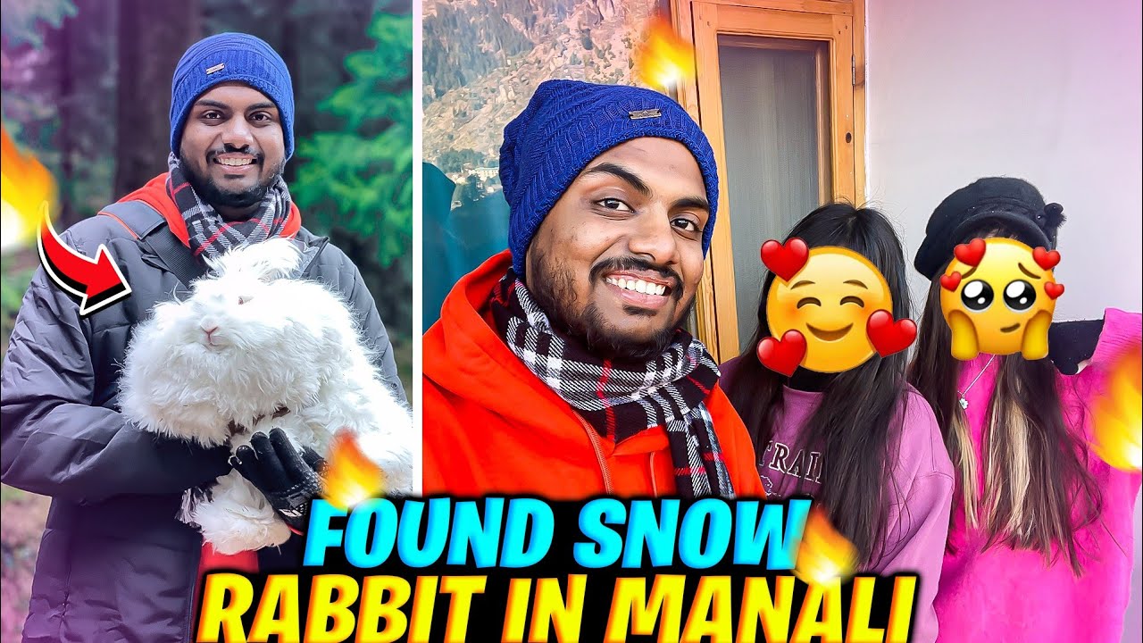I Found Cute Snow Rabit 😱 In Manali Day 1 Vlog