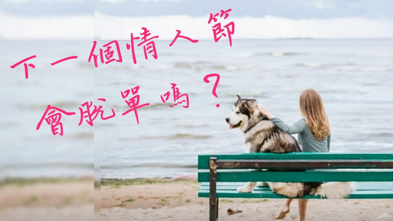 半年內會不會脫單 | 超全面脫單訊息 | Sowilo | 太陽塔羅x雷諾曼