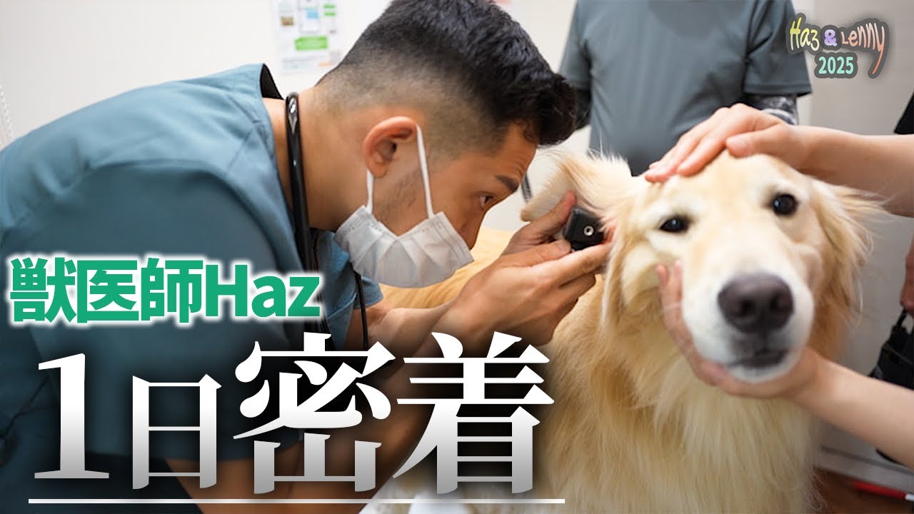 【動物病院密着】ペットのかゆみ・脱毛の悩みを救う！皮膚科専門で働く『獣医師Haz』に一日密着【PR】