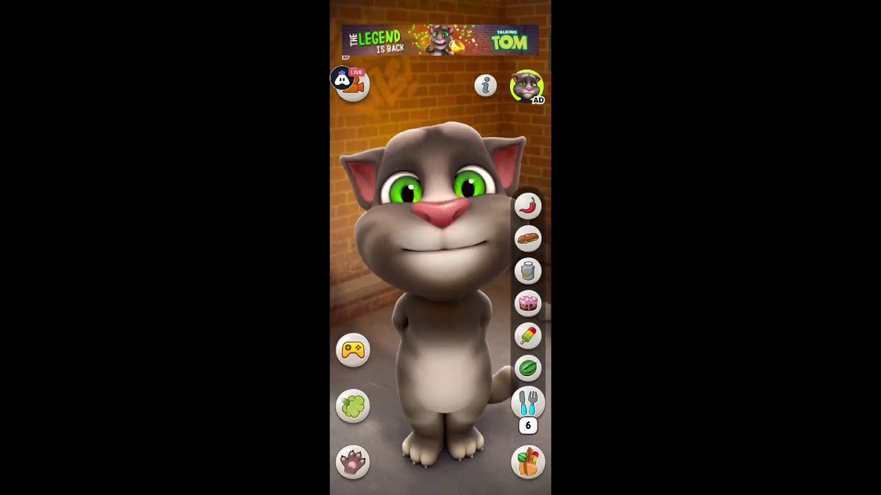 talking tom game