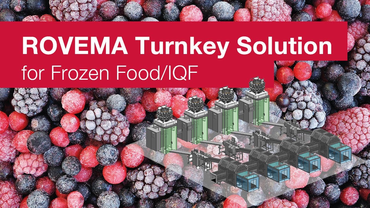 Automated packaging line for packing frozen food/IQF in pillow bags| ROVEMA