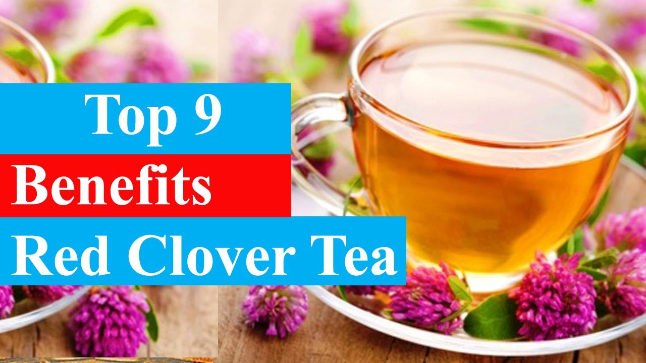 Top 9 Benefits of Red Clover Tea | Health Benefits - Smart Your Health