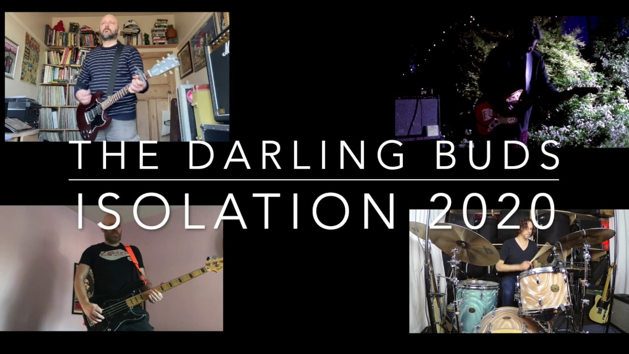 ISOLATION 2020 The Darling Buds