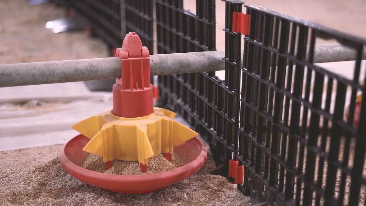 Plasson Migration Fence Continuous Line installation method