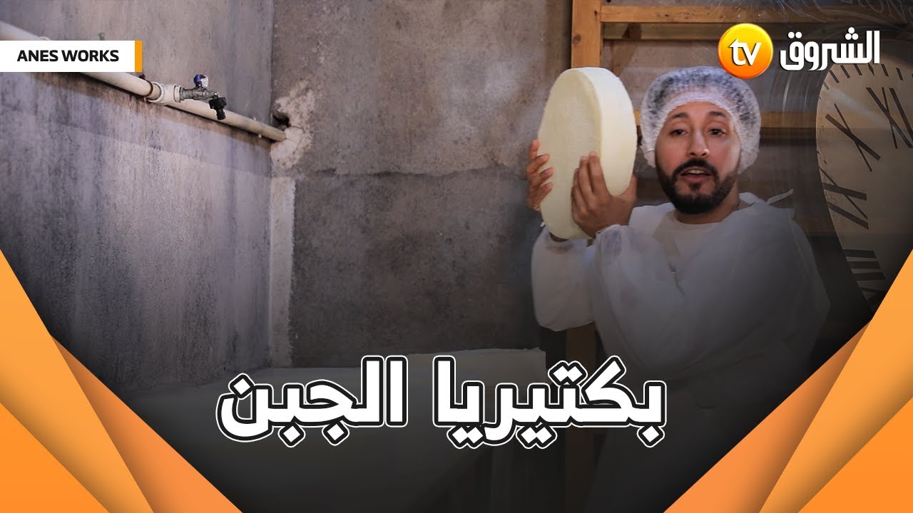هل كنت تعتقد أن صناعة الجبن سهلة ؟ #شاهد المراحل التى يمر بها الجبن حتى يصل للمستهلك 🧀🧀