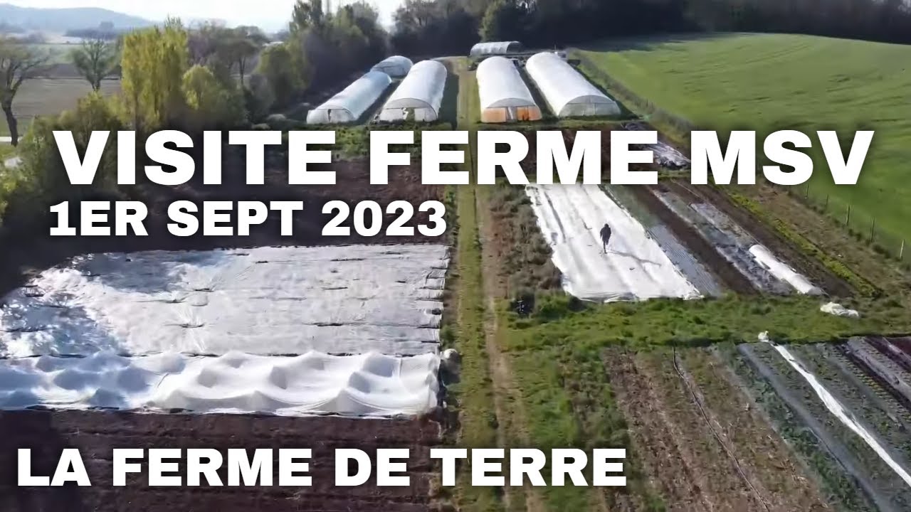 Visite de ferme MSV : LA FERME DE TERRE 1er septembre 2023