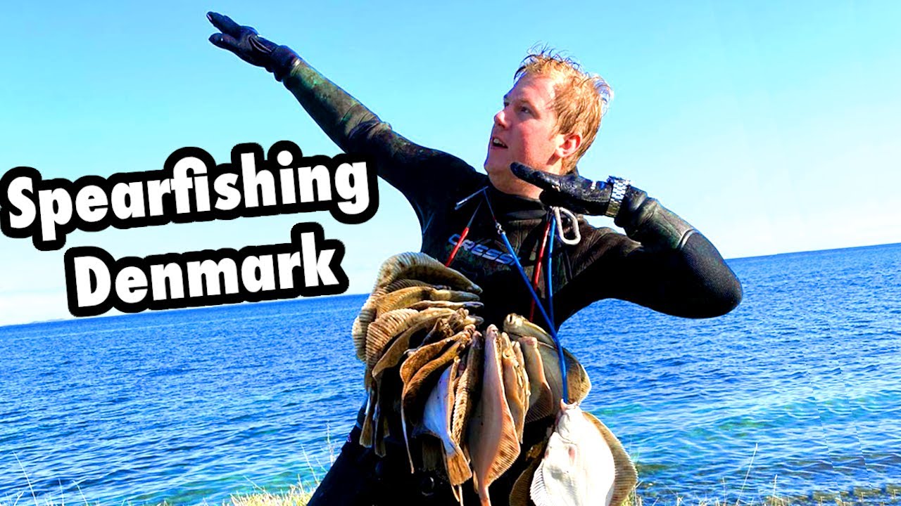 Spearfishing Denmark - Langeland and Als - Flat fish paradise