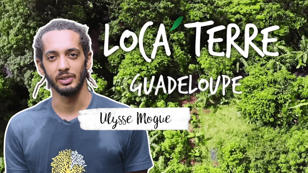 Matouba : L'Agroforesterie Révolutionne le Tourisme en Guadeloupe 🌴🍫
