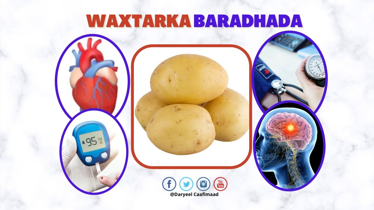 Waxtarka Baradhada | 5 Faaido