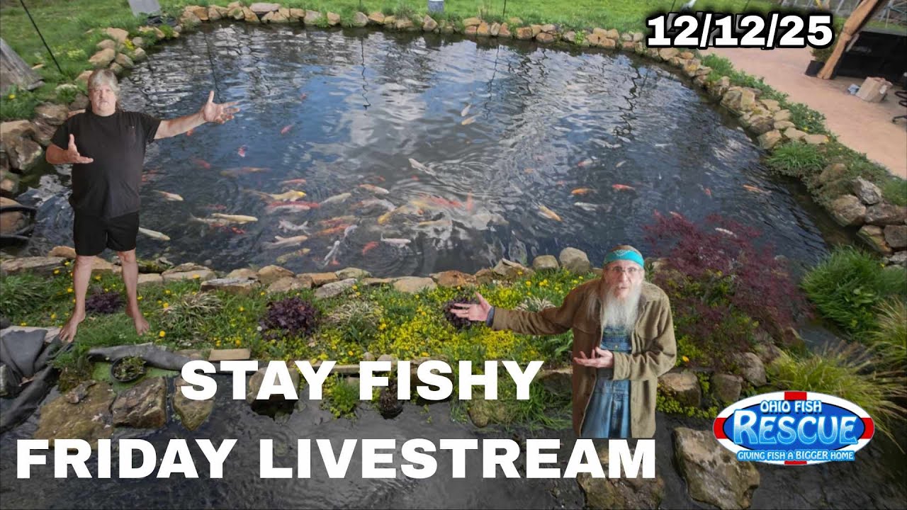 Stay Fishy Friday livestream  12/12/25