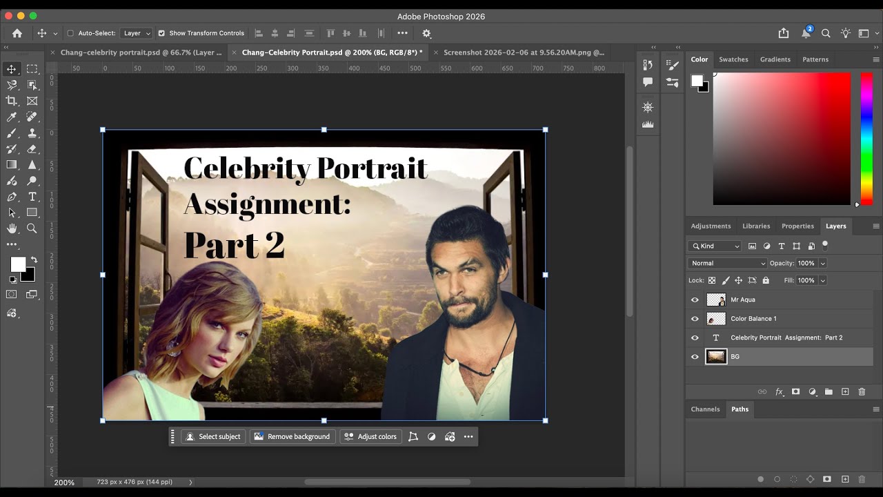 Celebrity Portrait Assignment-Part 2