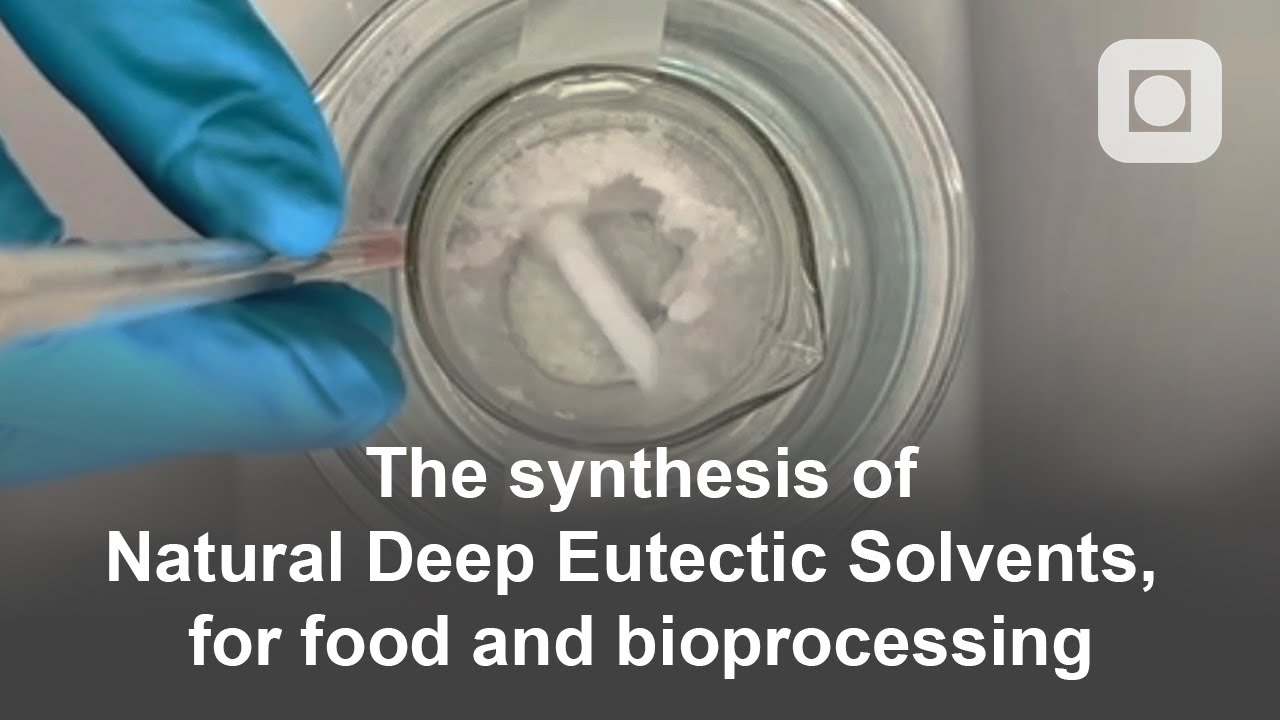 The synthesis of Natural Deep Eutectic Solvents, for food and bioprocessing - Bachelor's thesis