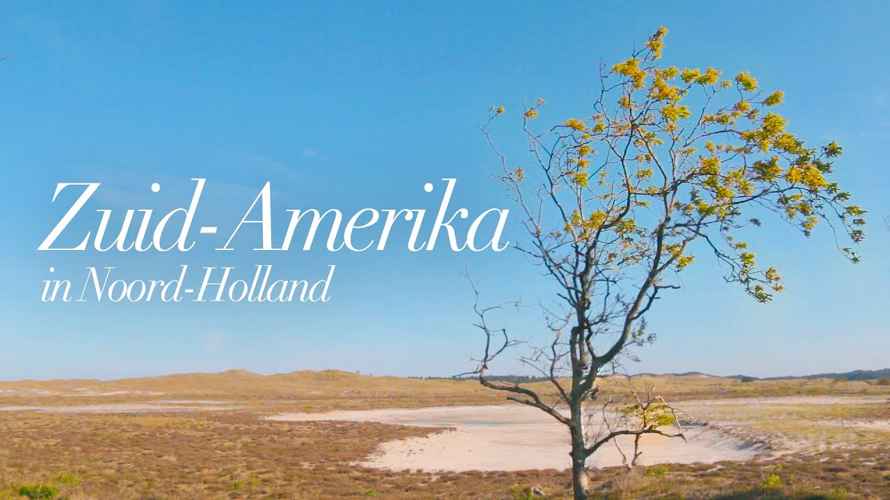 Hiken in Nederland: Schoorlse Duinen