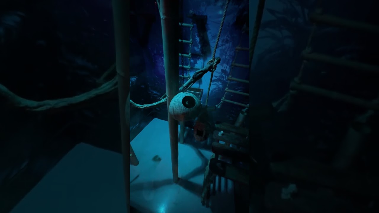PHUKET AQUARIA 12.26.26