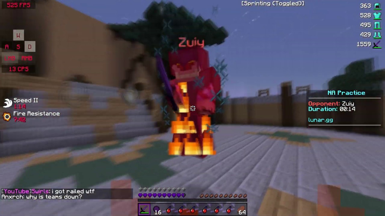Zuiy the Clown (5 Potted)