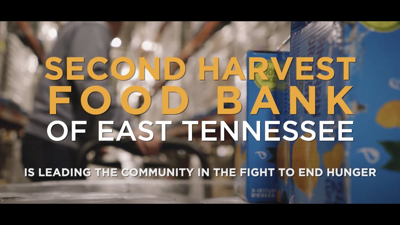 Second Harvest Food Bank Facts + Stats 2020-2021