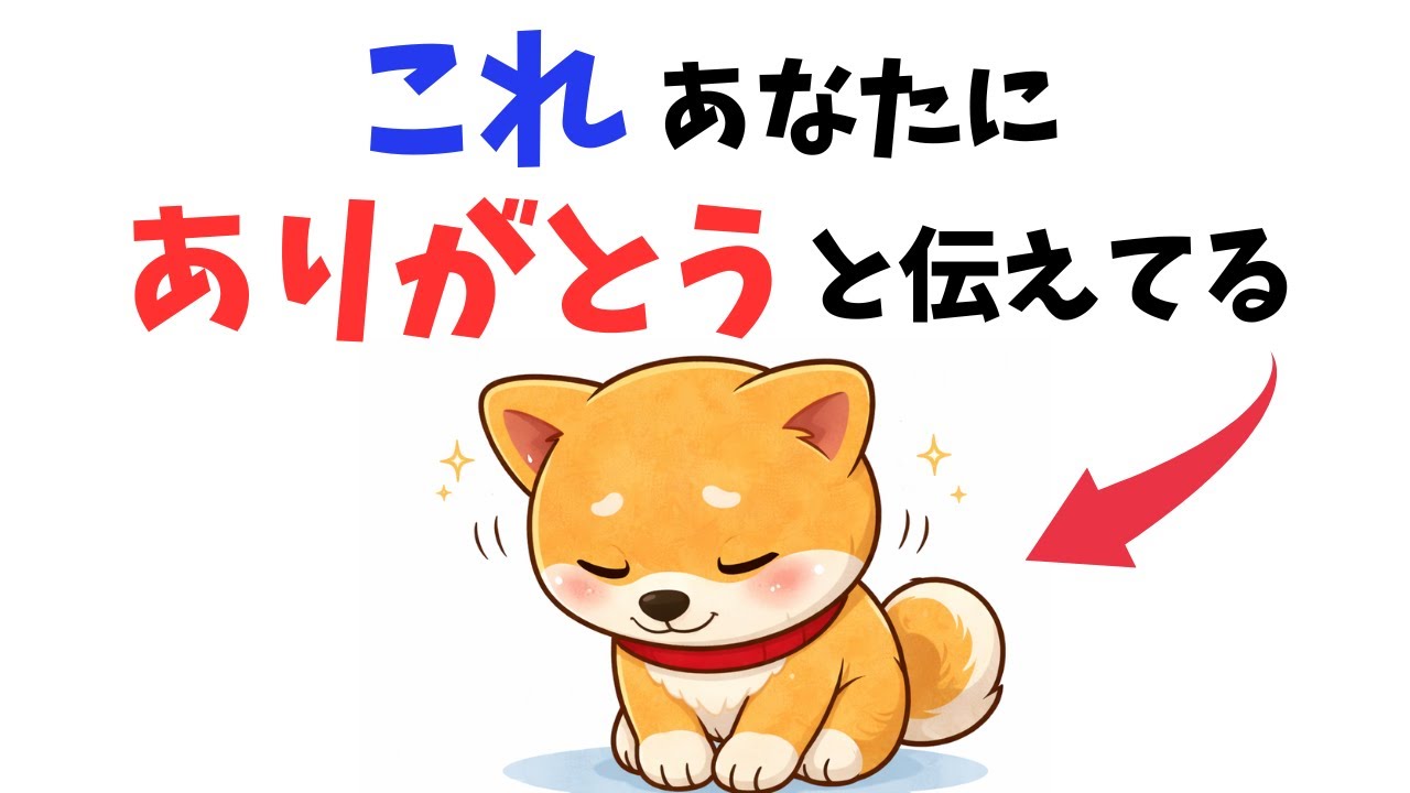 【大切なサイン】犬からの「ありがとう」12選