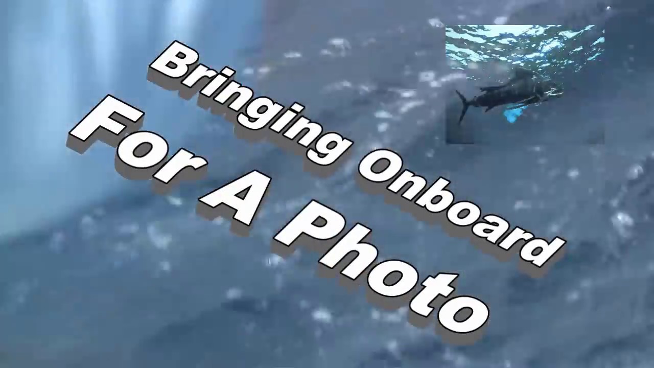 Sailfishing in Quepos, Costa Rica