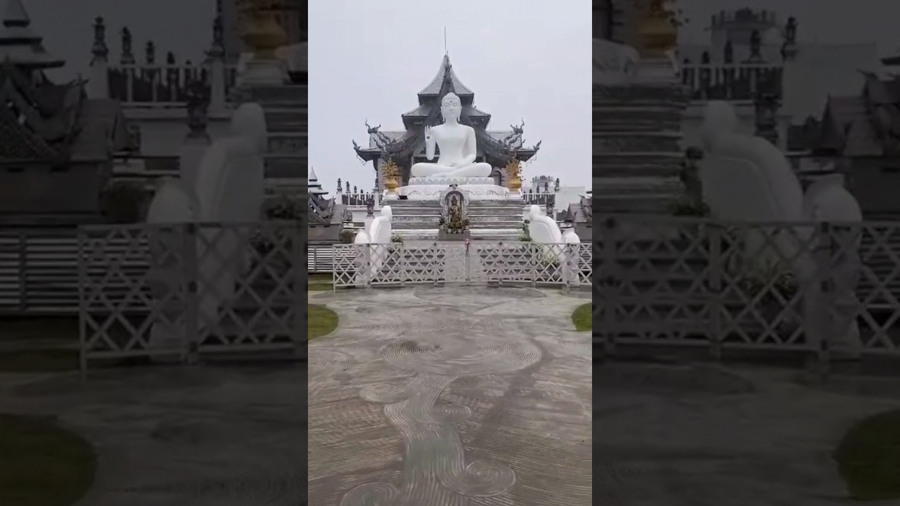 new white buddha statue in bodhgaya #gaya #bihar #buddha#peace #ytshorts #shortvideo