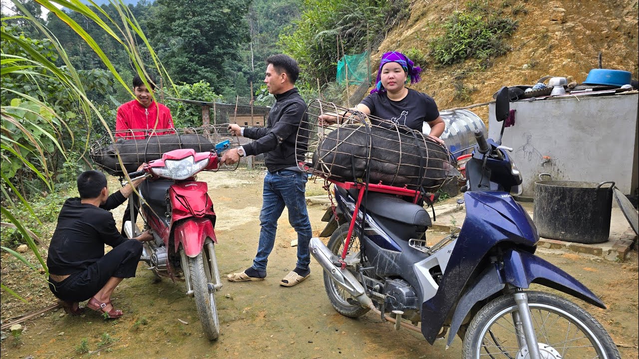 One day, the weather was nice - Hien sold her pigs to pay for her child's school fees.