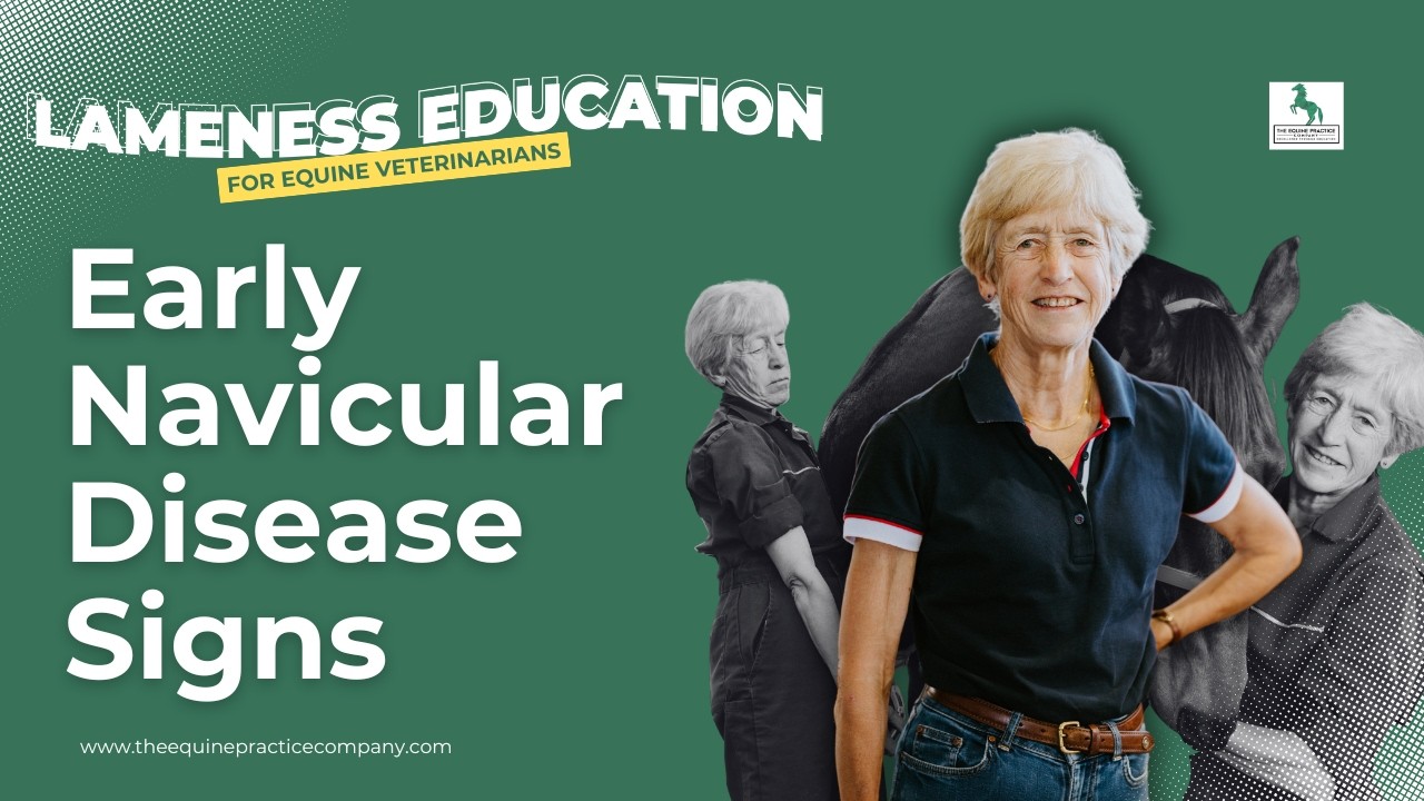 Early Navicular Disease Signs: Spotting Issues in Young Horses