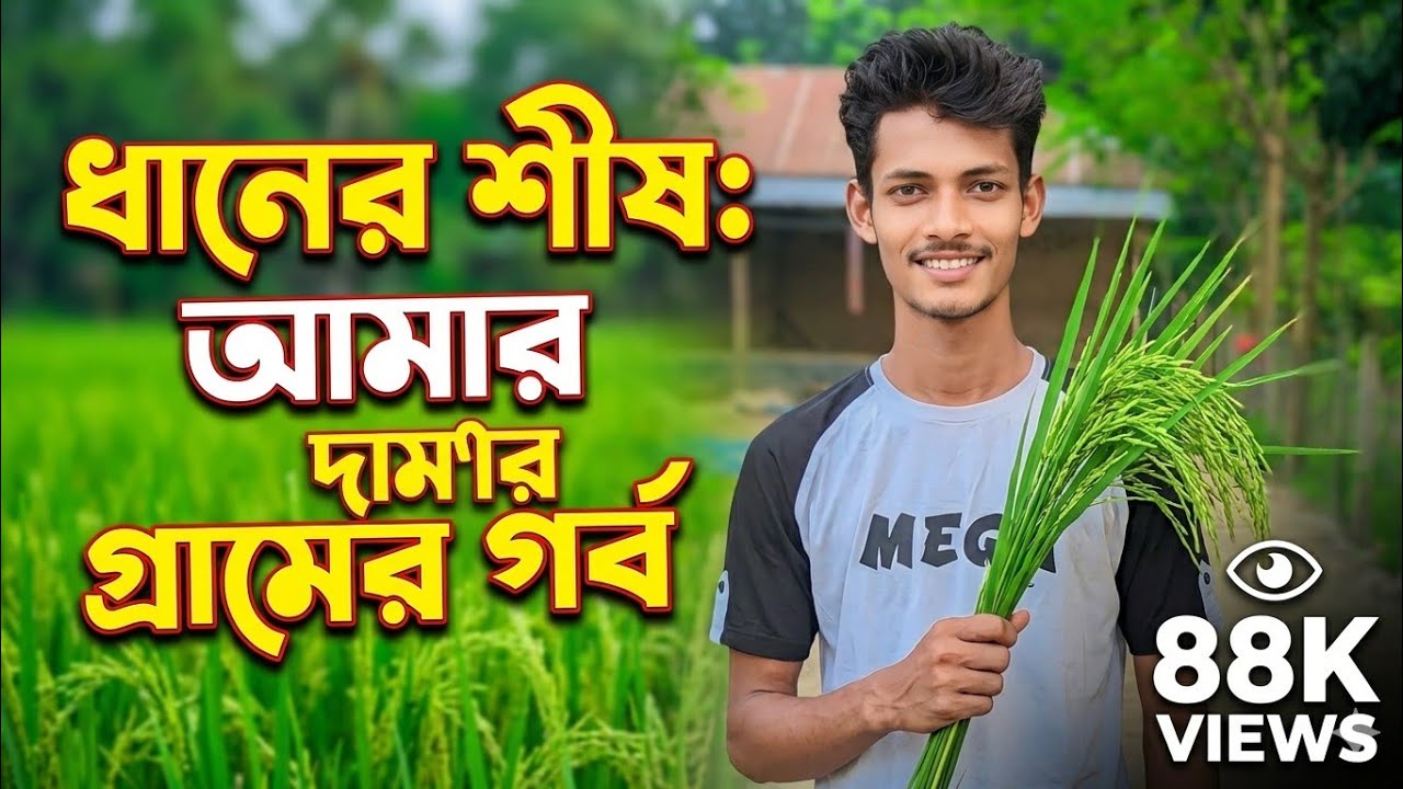 চারি দিকে ফিস ফিস জিতবে এবার ধানের শীষ 🌾🌾Chari dike fis fis jitbe ebar dhaner sis 🌾🌾