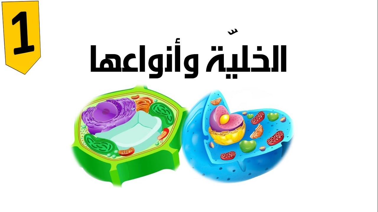 الخلية وأنواعها ( ج 1 ) - العلوم والحياة - الصف الخامس الأساسي - المنهاج الفلسطيني
