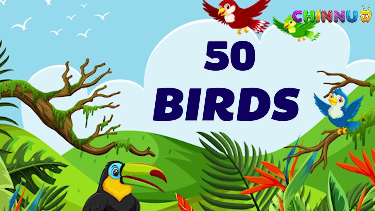50 Birds Names | Birds Names| Kids Learning | 50 Birds Video |@chinnutvkids​