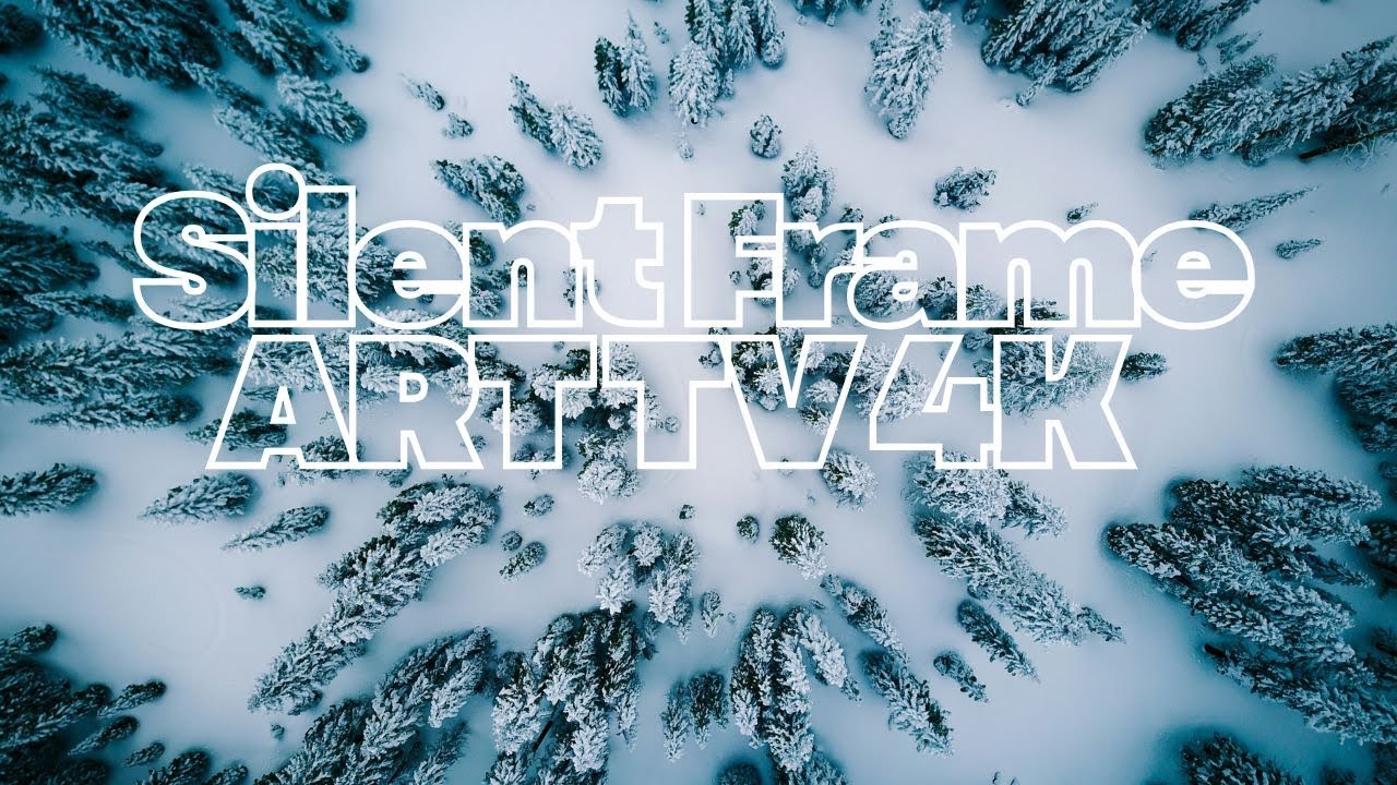 2 Hours of Silent Frame art tv: Stillness in the Pines wallpaper 4k