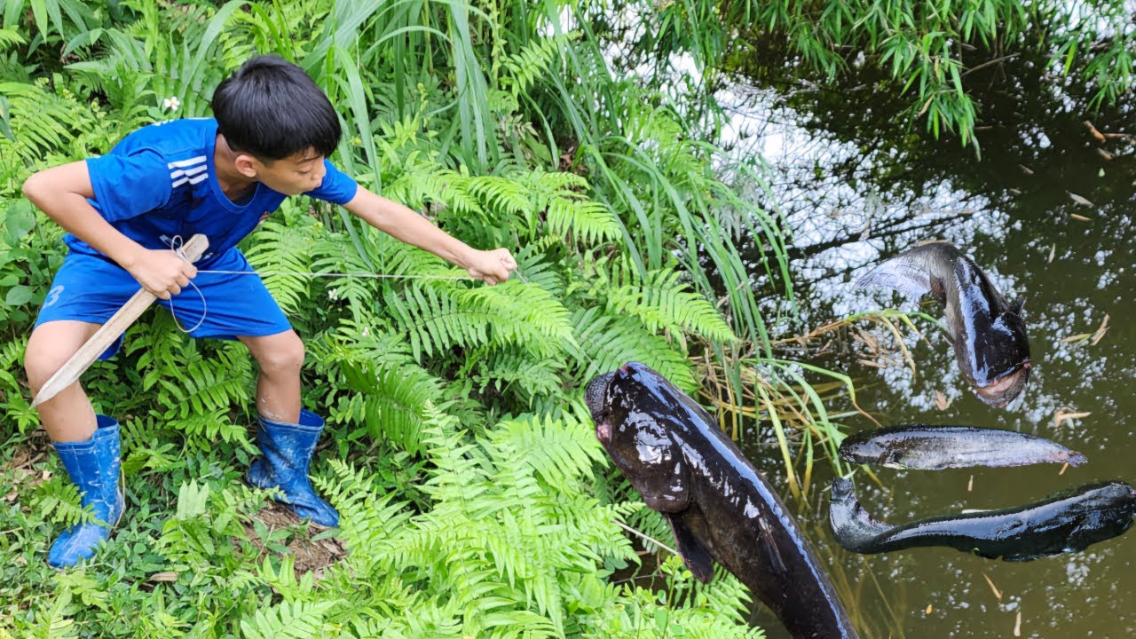 Setting a fishing trap in a deserted pond, harvesting pumpkins, the shop owner gave Bac a small bag.