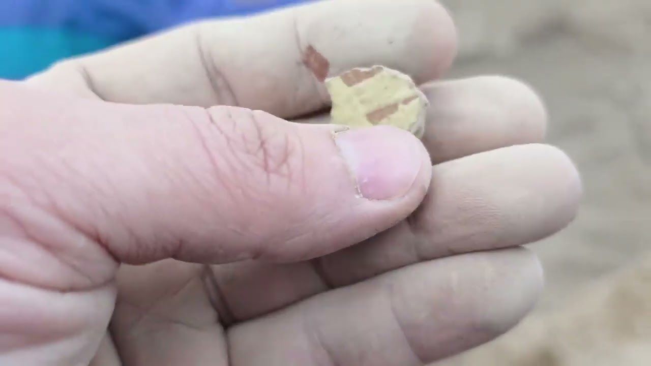 توثيق حقيقي عن كشف دفين في مقبرة أثرية بالجهاز الالماني كوانتم VX900