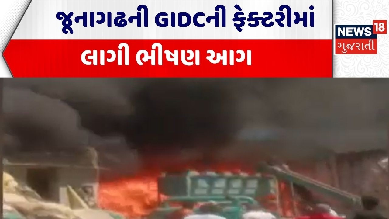 Junagadh Fire Incident | જૂનાગઢની GIDCની ફેક્ટરીમાં લાગી ભીષણ આગ | Fire Breakout | Gujarati News