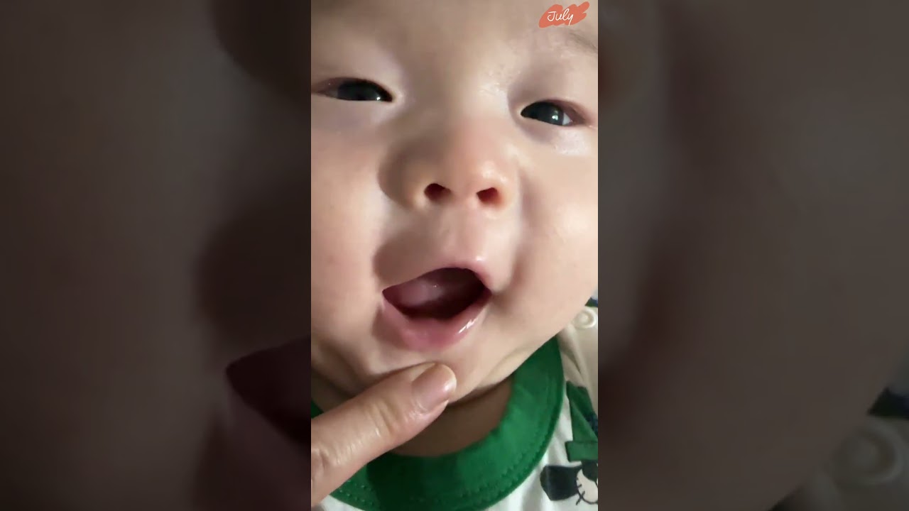 칠월의 서진