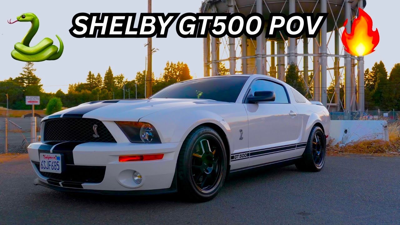 SHELBY GT500 POV – The Loudest Supercharger Whine on YouTube 🚀