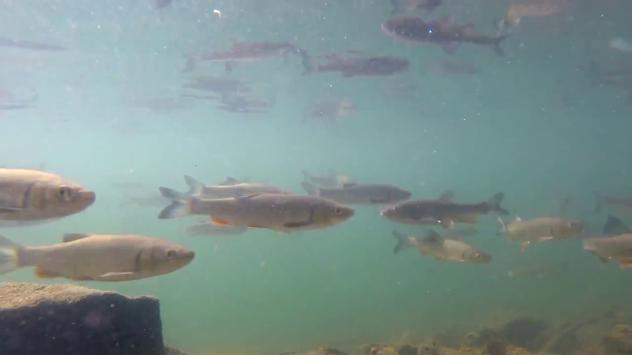 Morské Oko a Sninský Kameň