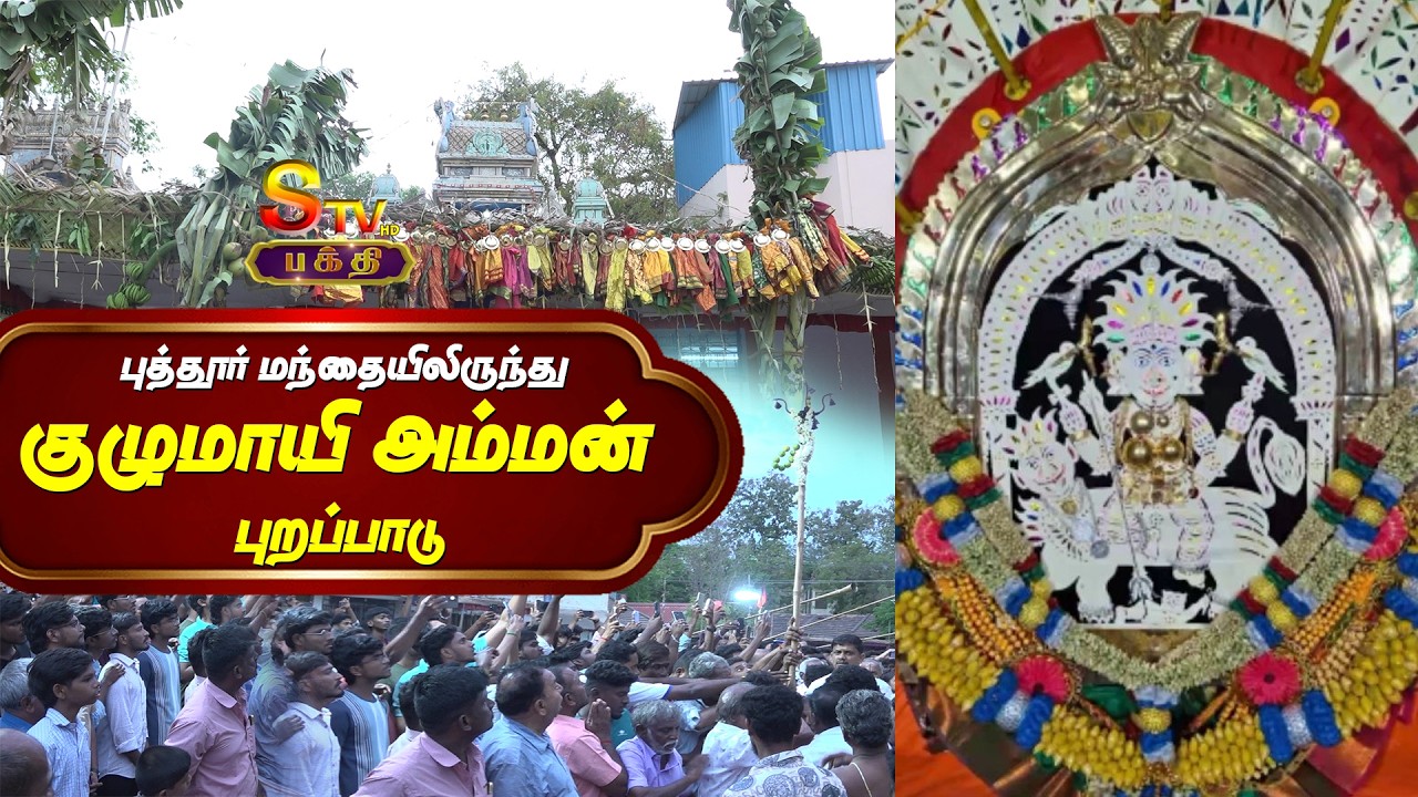 திருச்சி குழுமாயி அம்மன் திருவிழா - புத்தூர் மந்தையிலிருந்து குழுமாயி அம்மன் புறப்பாடு