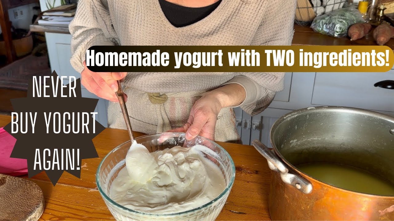 Make homemade yogurt the easy way! Two simple ingredients and Hands off.