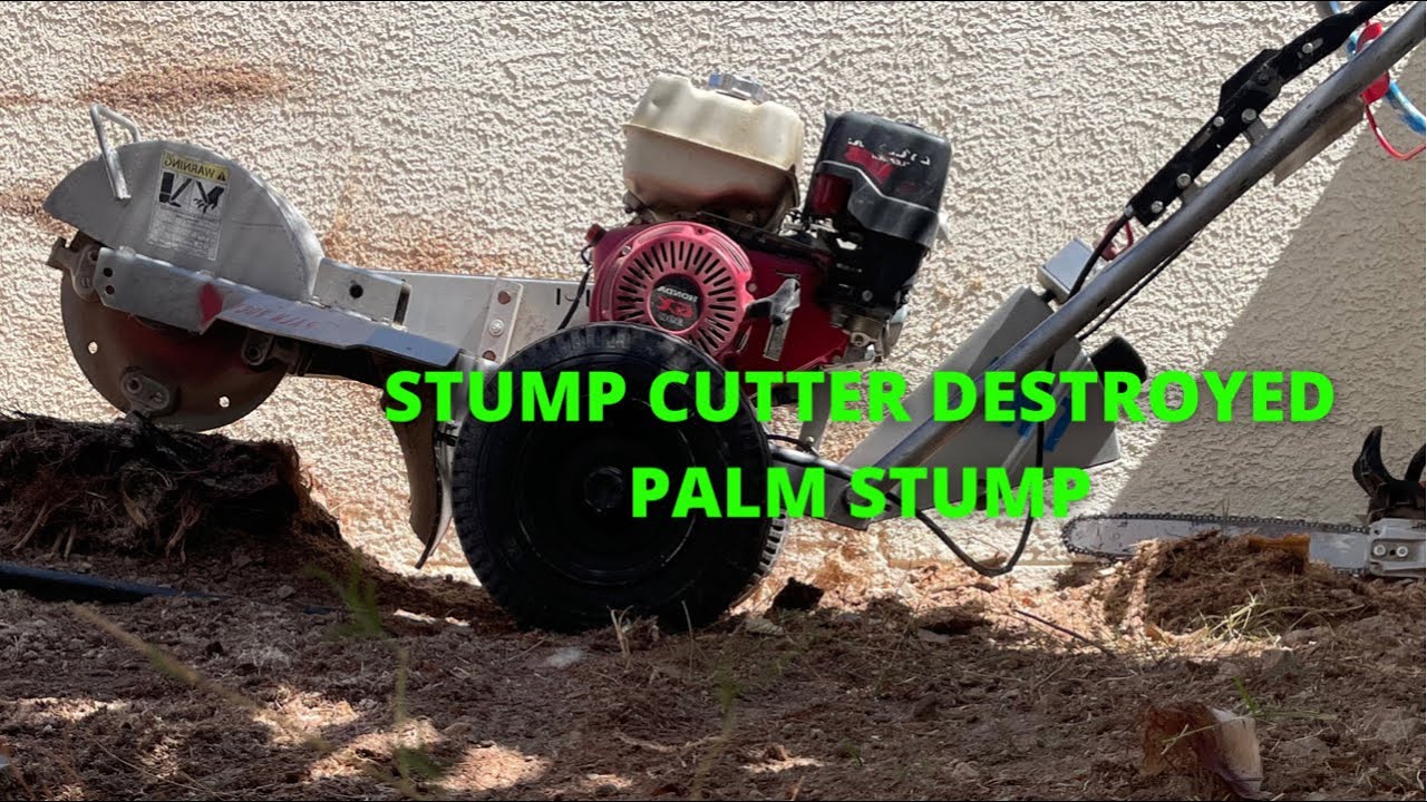 REMOVING STUMP THAT CATS PEED IN FOR YEARS...