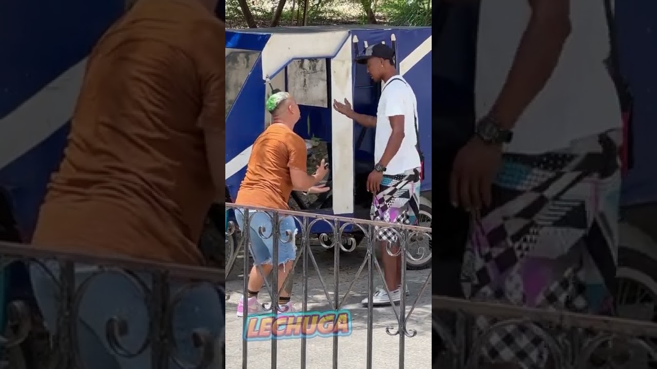 La fastidiosa 😂
