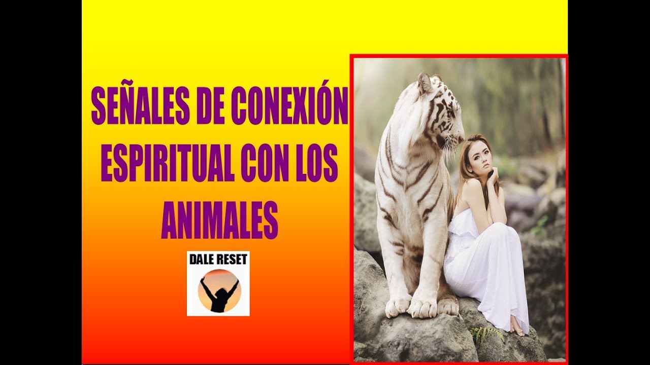 SE&Ntilde;ALES DE CONEXI&Oacute;N ESPIRITUAL CON LOS ANIMALES. Animales de poder, animales espirituales.