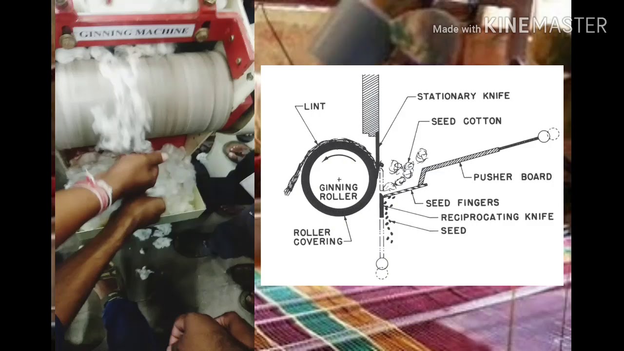 Basic Ginning machine practical and explained | Removal of seed from Cotton |
