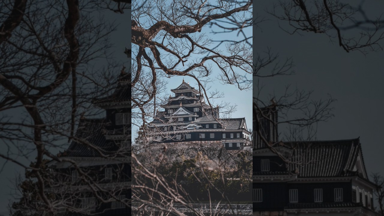 Castle Okayama        #okayama #photography #camera #cameranikon #nikon #nikond5300 #nikond5300 #fyp