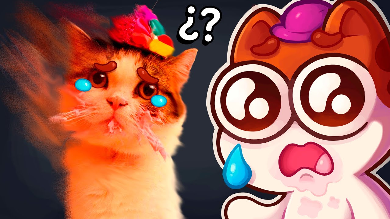 ¿Qué pasó con Capitan Gato?😔