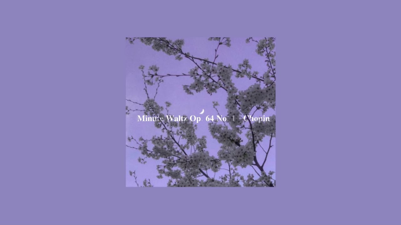 𝐌𝐢𝐧𝐮𝐭𝐞 𝐖𝐚𝐥𝐭𝐳 𝐎𝐩. 𝟔𝟒 𝐍𝐨. 𝟏 - 𝐂𝐡𝐨𝐩𝐢𝐧 (𝐒𝐥𝐨𝐰𝐞𝐝)