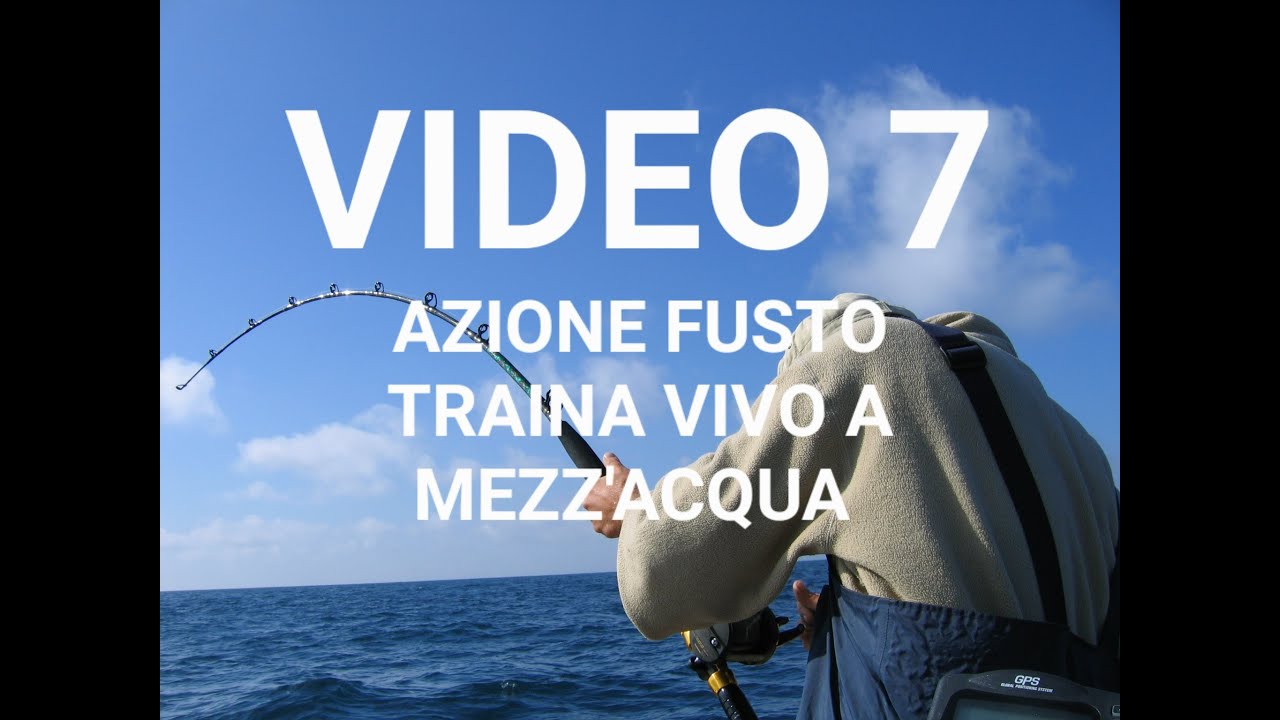VIDEO 7. AZIONE FUSTO TRAINA VIVO A MEZZ'ACQUA