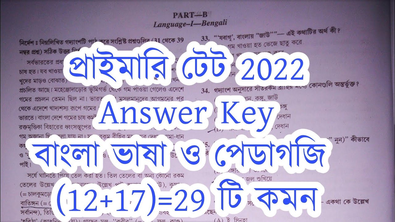 primary tet answer key | primary tet answer key 2022