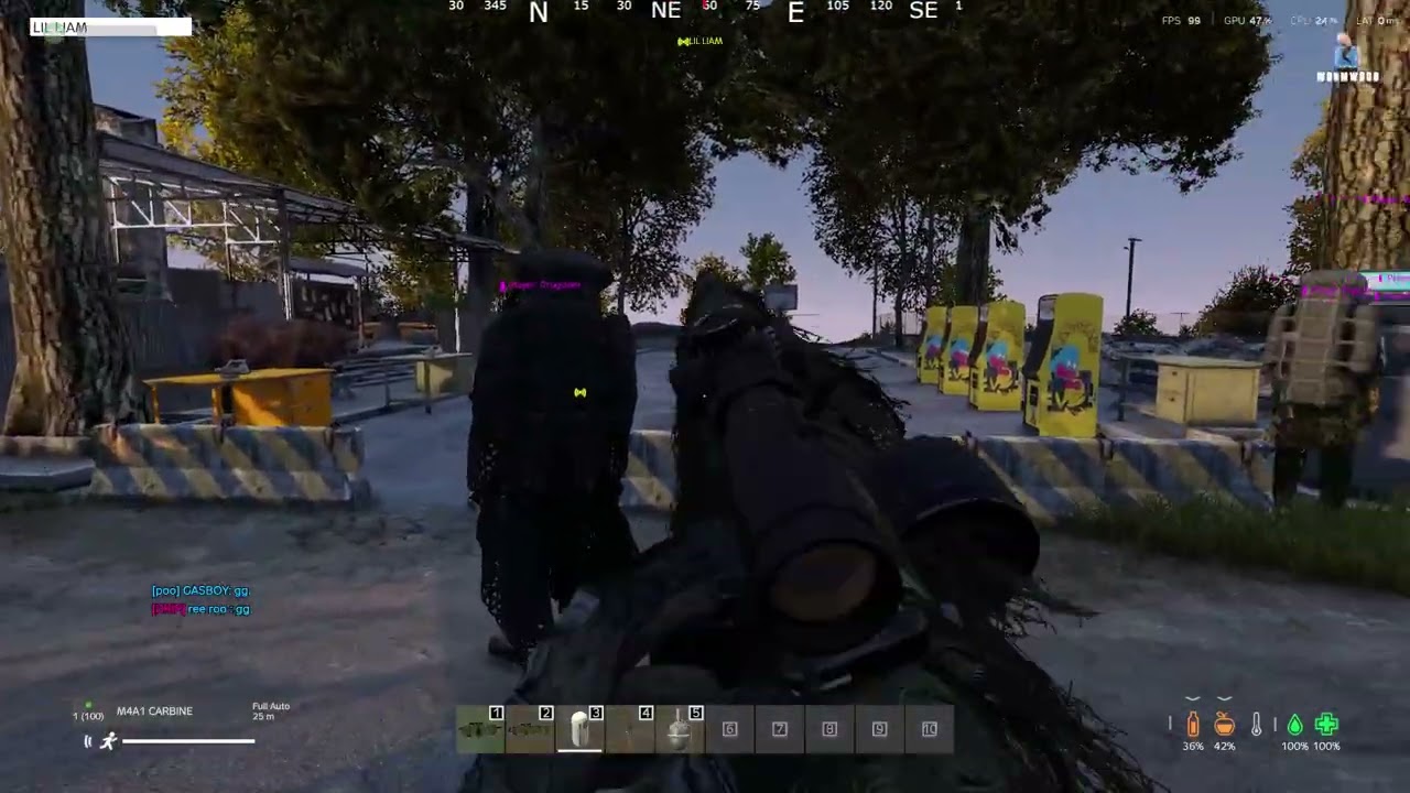 Dayz worm wood