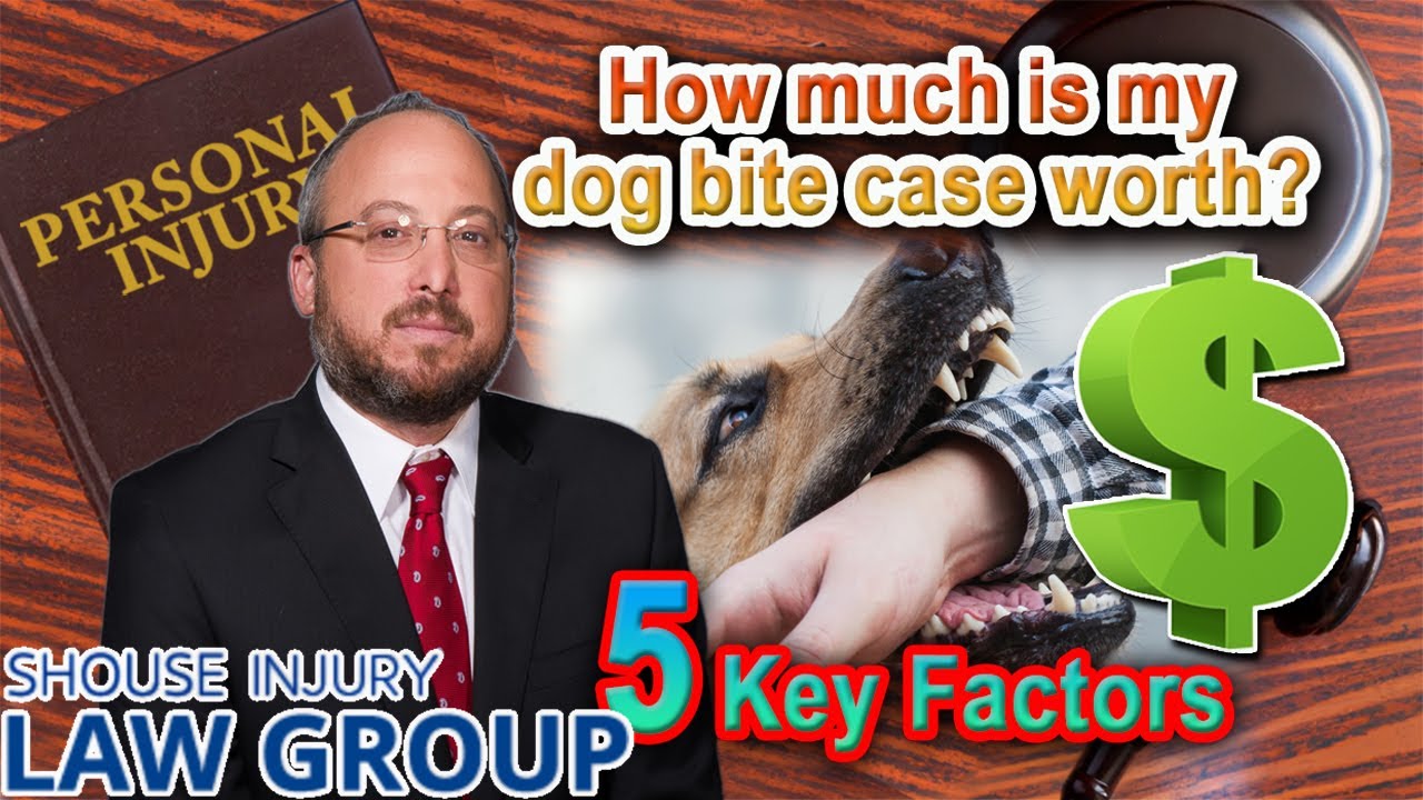 How Much Is My Dog Bite Lawsuit Worth? 5 Key Factors